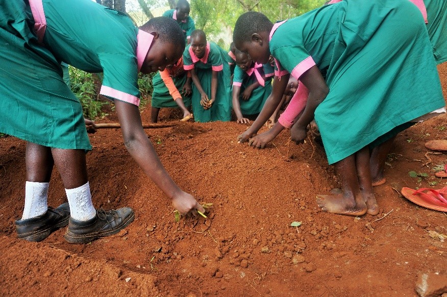 Pupils from Malanga Primary School in Samia Sub-County preparing a garden bed to plant local vegetables.